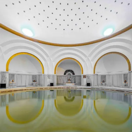 ホテル Atatuerk Thermal & Convention Center 5*