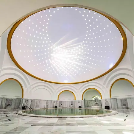 Atatuerk Thermal & Convention Center 5* ブルサ