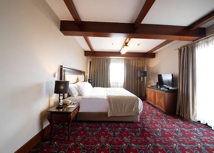 Atatuerk Thermal & Convention Center מלון